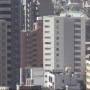 1500亿像素东京全景图 可玩性媲美谷歌街景模式